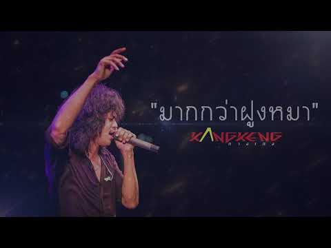 มากกว่าฝูงหมา - วงกางเกง [LIVE Audio]