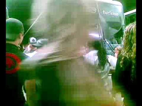 Dança do pintinho video