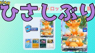 【gdgd枠】パモ倒しながら配信調整→ランクマ【ポケポケ】