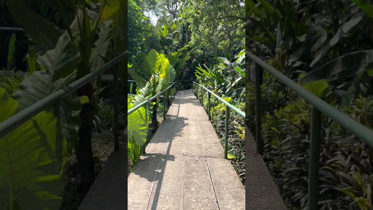 YouTube Short thumbnail