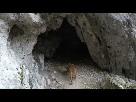 All’interno di una grotta, esploriamo la “Grotta Profunnata”