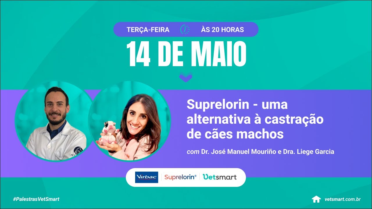Suprelorin - uma alternativa à castração de cães machos
