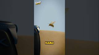 Download lagu Who Would Have Thought? This Is Why Queen Bee Eggs Must Be Destroyed! mp3 Download lagu Who Would Have Thought? This Is Why Queen Bee Eggs Must Be Destroyed! mp3