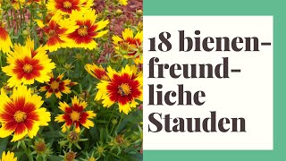 18 bienenfreundliche Stauden für Garten, Terrasse und Balkon