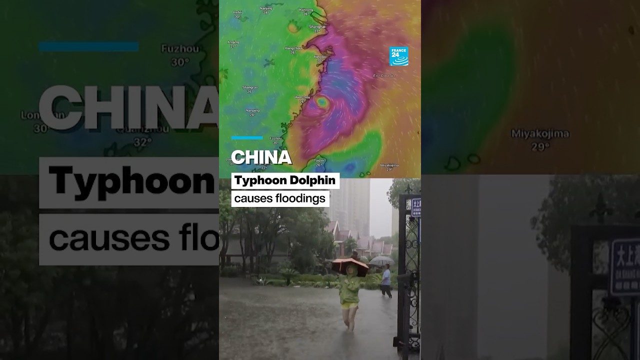 China: Tropical storm Dolphin causes floodings • FRANCE 24 English