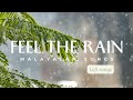 Malayalam Rain Mood Songs ️ Lofi Songs Malayalam