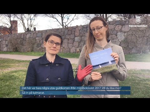 Kalmar kommuns miljöbokslut 2017
