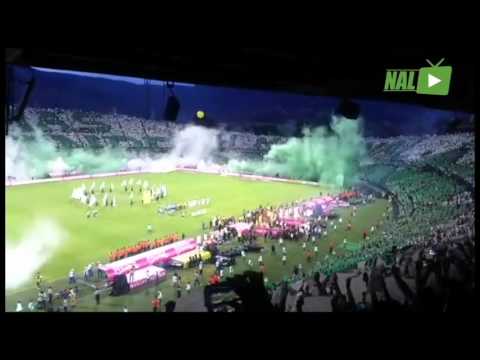 ESPECTACULAR RECIBIMIENTO