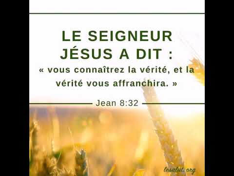 Vie et Lumière j'ai connu la vérité (Tim)