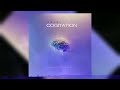 Rsvn Cogitation Official Audio