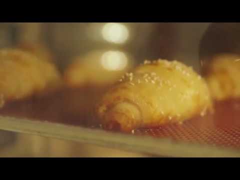 Em 7 Schritten zum eigenen Ditsch Shop!