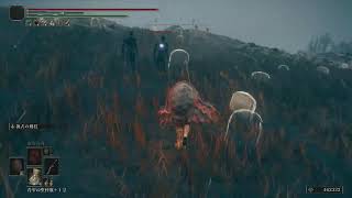 ELDEN RING:DLC#1