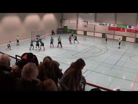 HSG Burgwedel - Eintracht Hildesheim (20.01.2017, 1. Halbzeit)