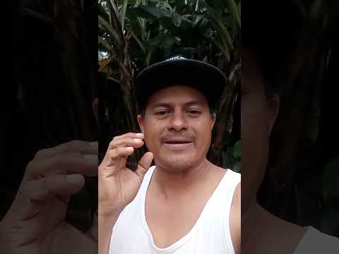 Noticias de última hora lancha se vuelca en Rio Sarapiquí en Heredia