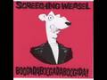 Screeching Weasel -  Stupid Over You