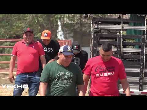 #EnVivo | Final Nacional de Coleo Pore - Casanare, 21 de diciembre 2025.