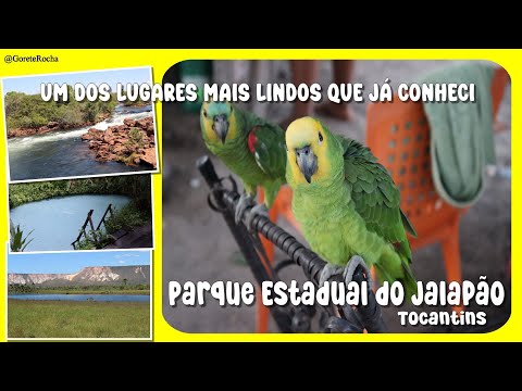 Parque Estadual do Jalapão Mateiros Tocantins - Um dos Lugares mais LINDOS que já conheci