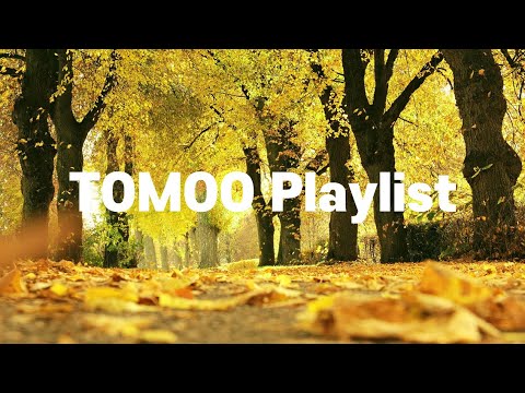[J-Pop] TOMOO Playlist