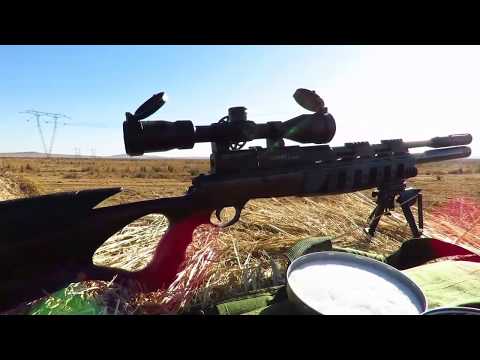 Xisico Sentry 22 - Review -