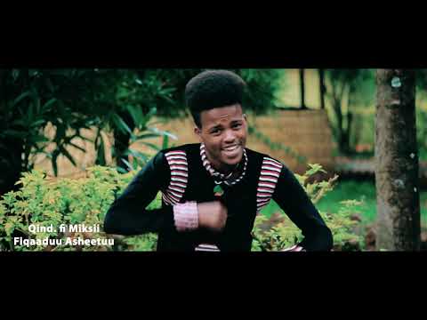 Gaaddisaa Magarsaa -Danda'aa- new Ethiopian oromo music official video (SUBSCRIBE)