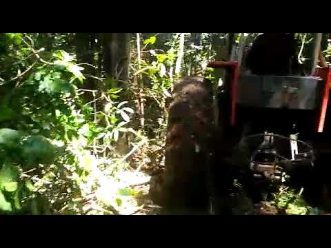 MF 95X empurando mato