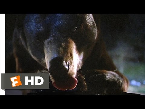 大自然の中で (4/10) ムービー・クリップ - ベア・ダンプで (1988) HD (The Great Outdoors (4/10) Movie CLIP - At the Bear Dump (1988) HD)