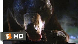 The Great Outdoors (4/10) Movie CLIP - At the Bear Dump (1988) HD