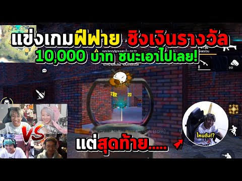 ฟีฟาย