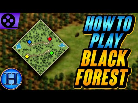 How To Play Black Forest | AoE2