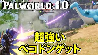 【パルワールド1.0】ハチミツを牧場でゲットできるパルを捕獲！超強いぺコドンゲット【Palworld】