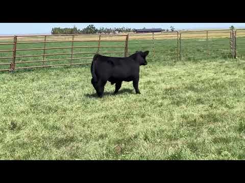 Tag 12 video