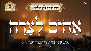 אחים לצרה - שיעור תורה מפי הרב יצחק כהן שליט"א / Rabbi Yitzchak Cohen Shlita Torah lesson