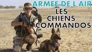 REPORTAGE - ARMEE DE L'AIR : LES CHIENS COMMANDOS