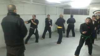 preview picture of video 'Entrenamiento de parries en el dojo Concón'