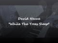 David Nevue - While The Trees Sleep