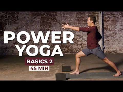 45 Min Yoga Basics 2 l A Steady Alignment Based Practice (Beginner Friendly)