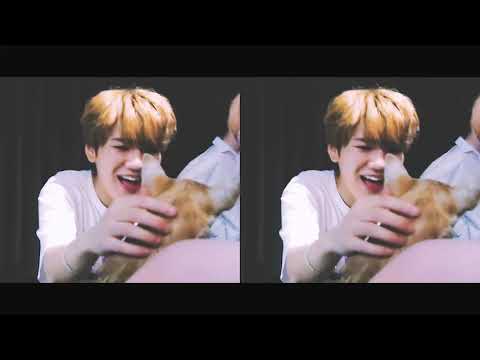 [업텐션/환희] 2019 미주투어 -  환희 Vlog ( 2019 HoneyTour - Hwanhee Vlog)