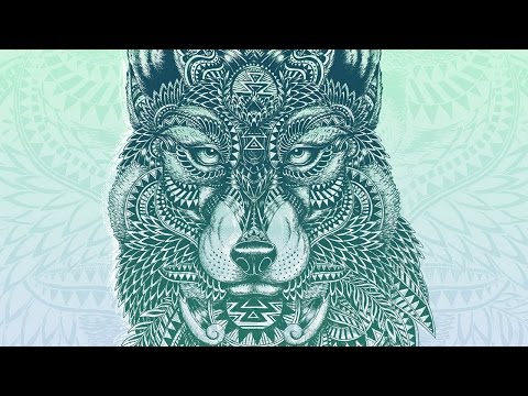 How to Set Up and Use a Wacom Tablet