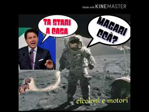 Chega - gaia gozzi [parodia]