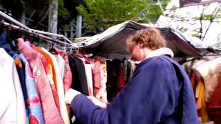 IN THE WILD - a documentary - FaltyDL