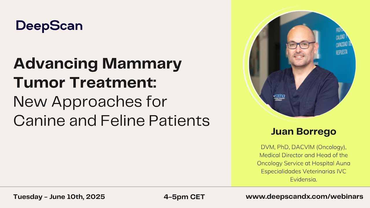 Advancing Mammary Tumor Treatment: New Approaches for Canine and Feline Health