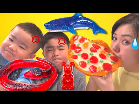 じゅたろうくんのおもちゃがグミになっちゃった！じゅたろうくんファミリーの鹿児島旅行