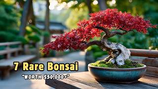 Download lagu 7 Rare Bonsai in the World | Most Valuable & Exotic Bonsai Trees mp3