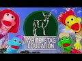 STRANGER DANGER PUPPET SHOW WHITE STAG EDUCATION