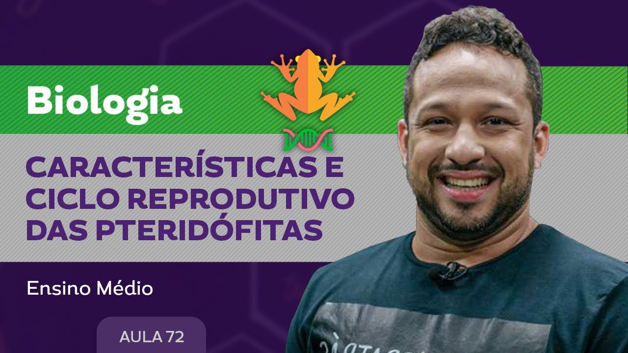 Características e ciclo reprodutivo das pteridófitas​ - Biologia - Ensino Médio