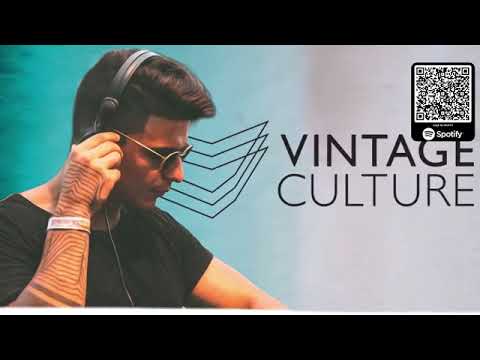 VINTAGE CULTURE 2022 | SÓ TRACK BOA | AS MELHORES DO VERÃO | SET ALOK, AVICII, LIU, KVSH & DUBDOGZ
