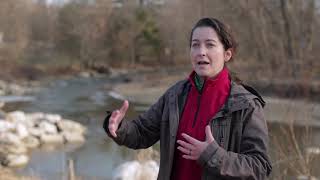 Featured Project: Stream Restoration