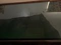 Low Pitched Black Screen Of Death On My Alice In Wonderland 1988 VHS Version 1