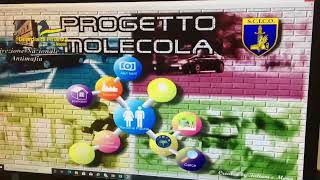 sequestrate-dalla-finanza-le-aziende-del-clan-sigilli-a-pizzeria-e-sushi-bar