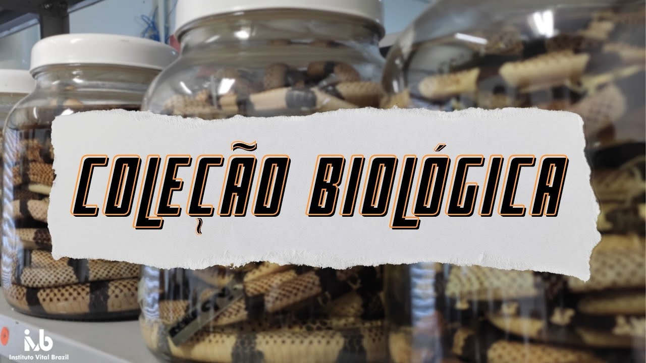 A importância das COLEÇÕES BIOLÓGICAS